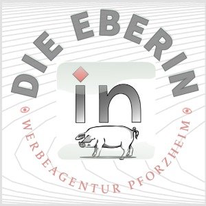 die eberin Werbeagentur pforzheim webdesign grafikdesign Seo beratung sozial media agentur amazon blog